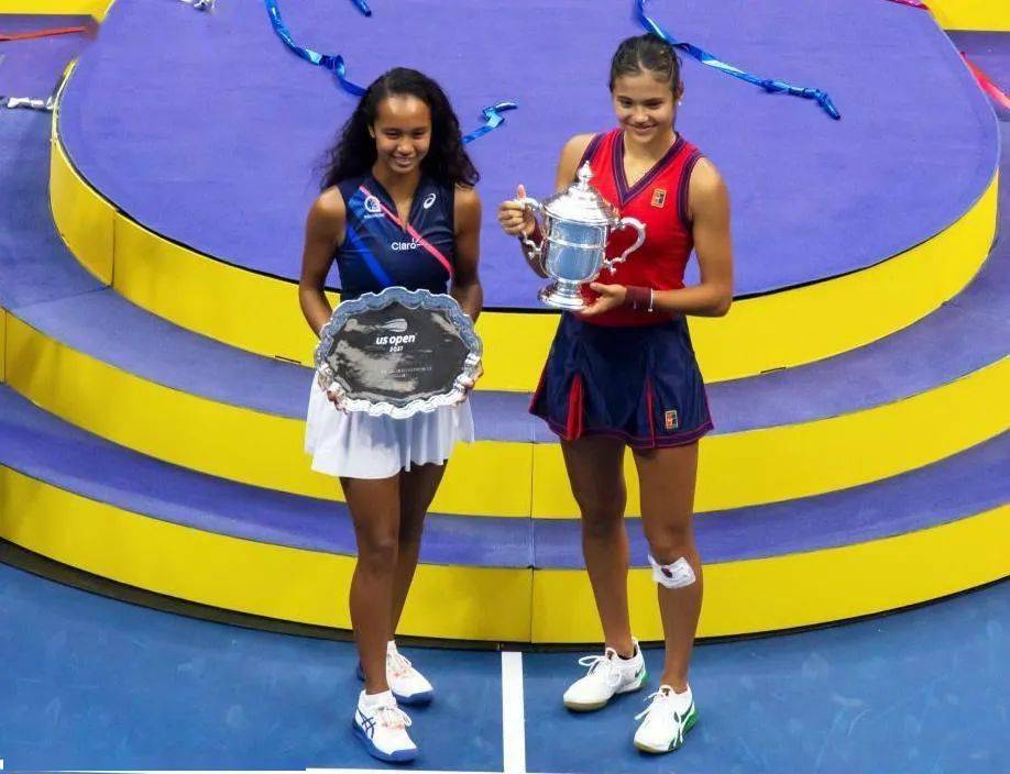 样化进攻体 样化进攻体